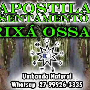Imagem de capa para o Ebook APOSTILA ASSENTAMENTO ORIXÁ OSSAIM E QUALIDADES