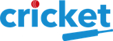Cricket Mentoring