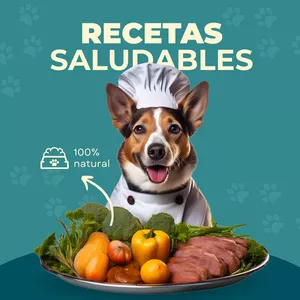 Imagen de portada para Ebook Guía Completa de Nutrición Canina: El arte de alimentarlos con amor