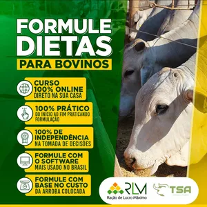 Imagem de capa para o Curso online Treinamento RLM Corte - Prático