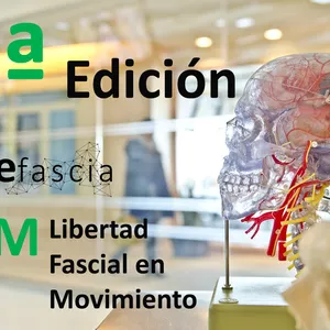 Imagen de portada para Curso online 2ª EDICIÓN - Free Fascia LFM (Libertad Fascial en Movimiento) ONLINE