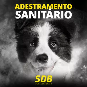 ADESTRAMENTO SANITÁRIO PARA CÃES E COPROFAGIA