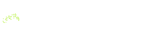 Orbo Novo logo