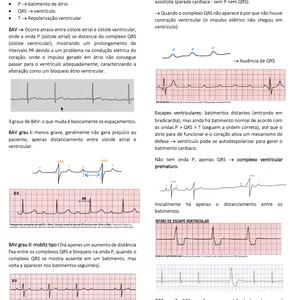 Imagem de capa para o Ebook Resumo - Complicações anestésicas em medicina veterinária