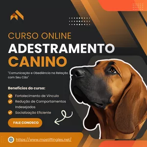 Imagem de capa para o Curso online Aprenda Junto: Adestramento fácil para cães