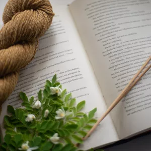 Imagem de capa para o Curso online C.L.A.N. - Clube de Livros, Agulhas e Novelos