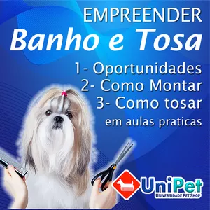 Capa do curso 