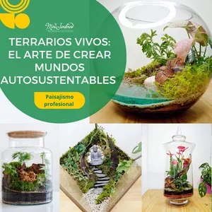 Imagen de portada para Curso online TERRARIOS VIVOS, EL ARTE DE CREAR MUNDOS AUTOSUSTENTABLES