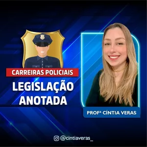 Imagem de capa para o Ebook LEI MARIA DA PENHA