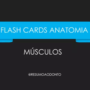 Imagem de capa para o Ebook Flash card Anatomia - Músculos