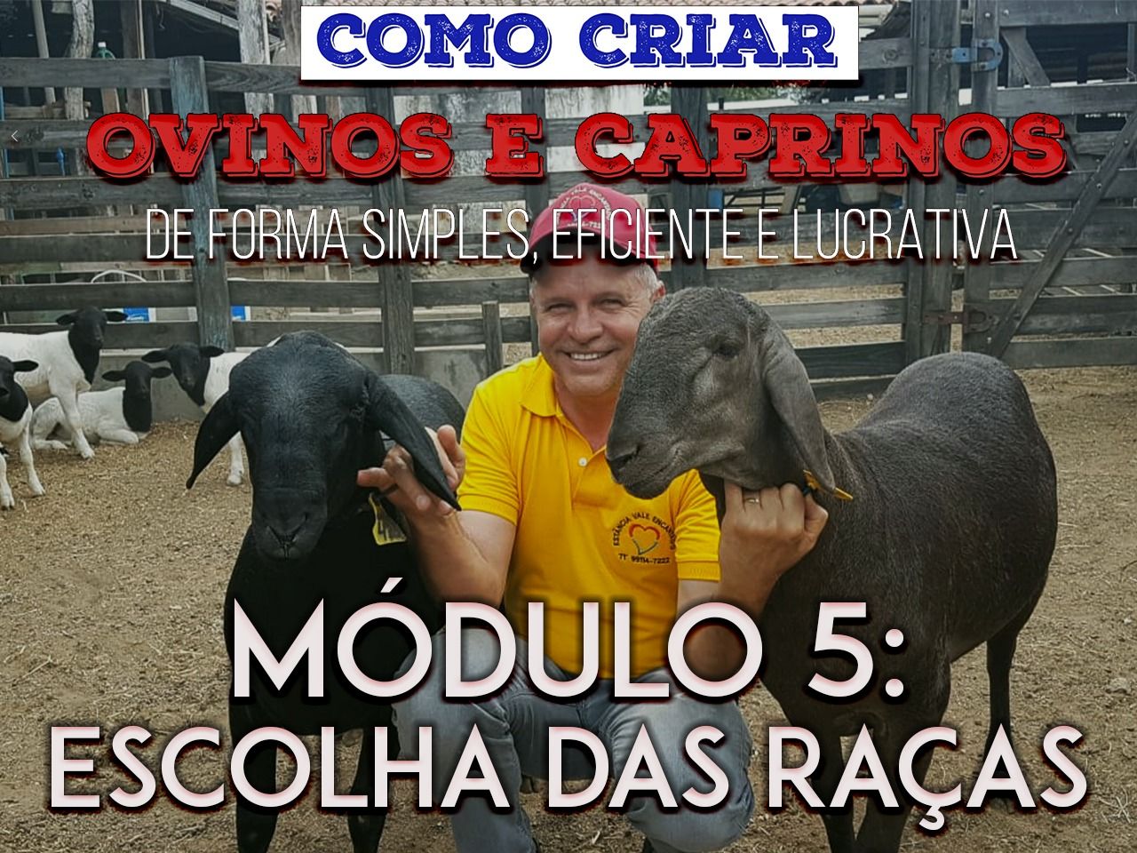 Curso - ESCOLHA DAS RAÇAS DOS OVINOS E CAPRINOS