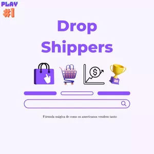 Imagem do curso Do 0 ao 100 absoluto sobre Dropshipping