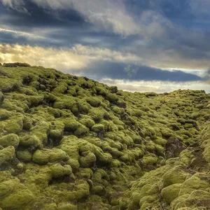 Imagem de capa para o Curso online Iceland