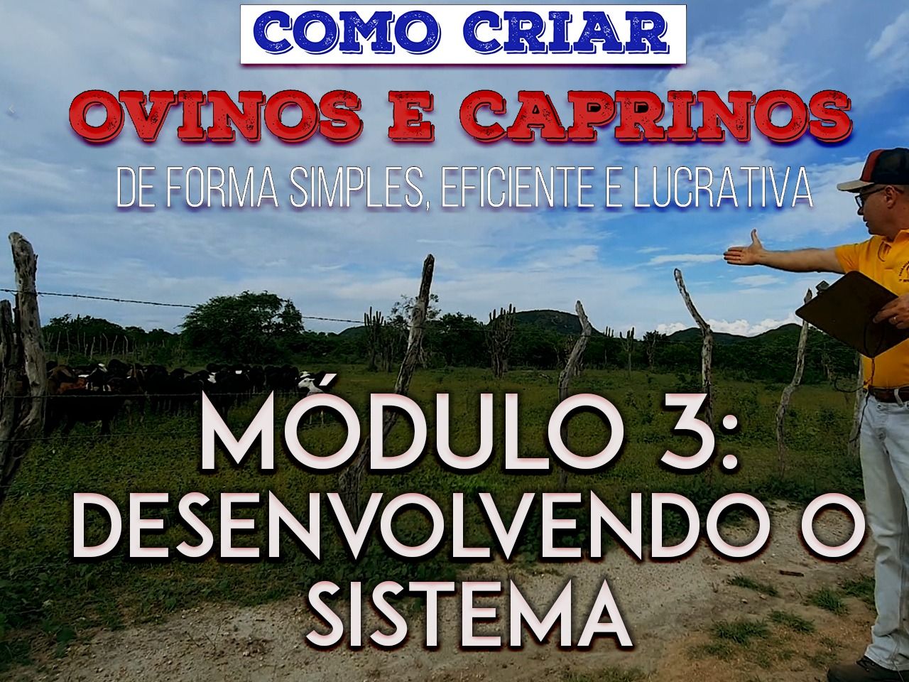 Curso - SISTEMA DE MANEJO PARA OVINOS E CAPRINOS por Estância Vale Encantado