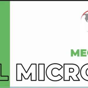 Imagen de portada para Curso online MEGA EXCEL MICROSOFT