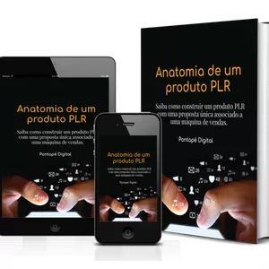 Imagem de capa para o Ebook Anatomia de um Produto PLR