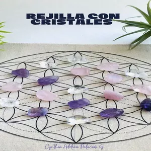 Imagen de portada para Ebook Rejilla con Cristales , aprende el paso a paso