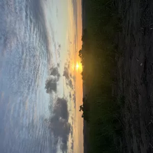 Imagem de capa para o Ebook De volta para mim