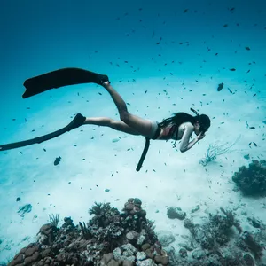 Imagen de portada para Curso online CURSO DE APNEA / FREEDIVING NIVEL 1