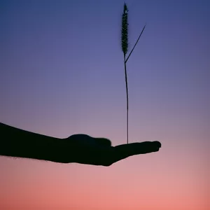Imagem de capa para o Ebook Encontre Paz e Propósito na Vida com Orientação Pastoral