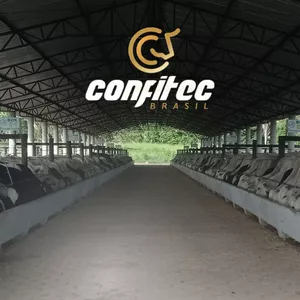Imagem de capa para o Curso online Nutrição de Bovinos de Corte em Confinamento com foco em "Plantas Forrageiras Especiais"