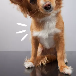 Imagem de TÉCNICAS DE TREINAMENTO criado por Nathália na hotmart