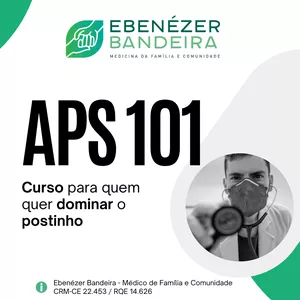 Imagem de capa para o Curso online APS 101