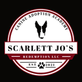 Canine Adoption Academy logo