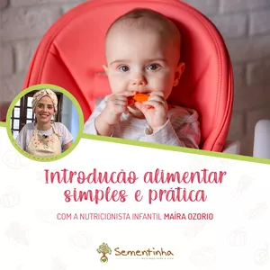 Imagem de capa para o Curso online Introdução Alimentar Simples e Prática 2.0