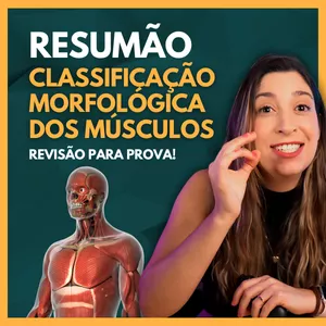 Imagem de capa para o Ebook Apostila: Resumão Classificação morfológica dos músculos esqueléticos. Material de Apoio aulas Youtube.