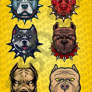 Imagen de portada para Curso online Pitbull animado