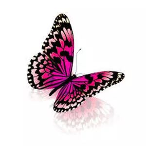 Imagen de portada para Curso online TANATOLOGIA Y DESARROLLO HUMANO