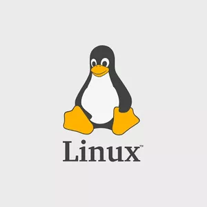 Imagem de capa para o Curso online Curso básico de Sistema Linux