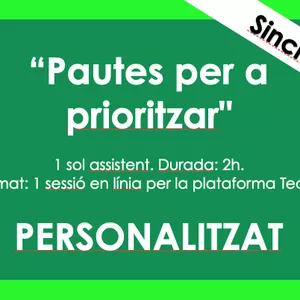 Imagen de portada para Curso online Pautes per a prioritzar (taller personalitzat)