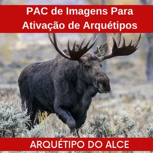 Imagem de capa para o Ebook Arquétipos de Poder - Alce