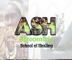 Afrocentric School of Healing