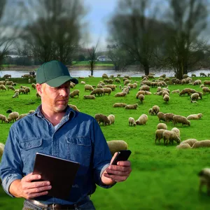 Imagem de capa para o Ebook Planilha Ovinocultura