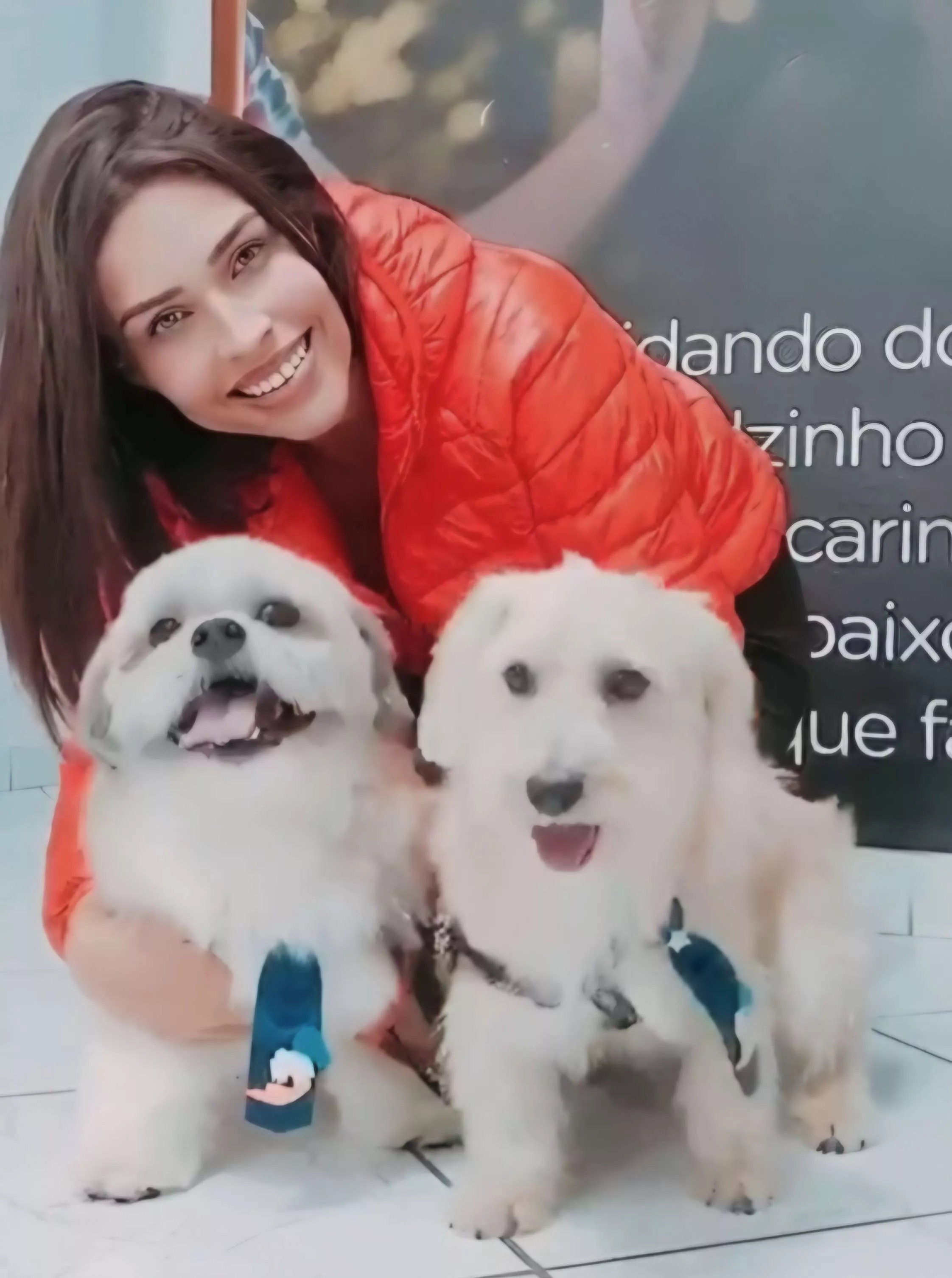Mittra com os pets dela
