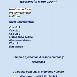 Imagen de portada para Curso online profesor de matematicas 