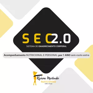 Imagem de capa para o Curso online SEC 2.0 Lançamento
