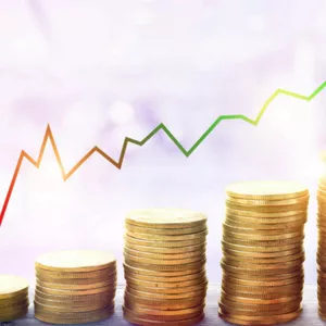 Imagem de capa para o Curso online Organização Financeira para Empreendedores