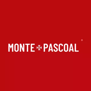 Imagem de capa para o Curso online Instituto Monte Pascoal