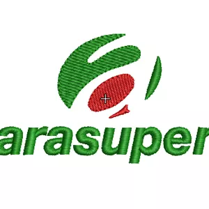 Imagem de capa para o Ebook Matriz de Bordado Arasuper