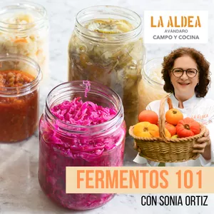 Imagen de portada para Curso online Fermentos 101 con Sonia Ortiz