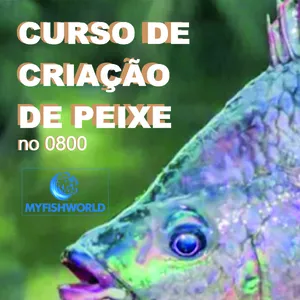 Curso Curso Prático de Criação de Peixes em Pequenos Espaços – Transforme Qualquer Espaço em uma Fonte de Renda!