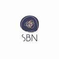 SBN Academy logo