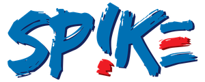 SP!KE Customer Experience Strategies logo