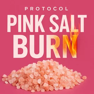 Cover image for Ebook Pink Salt Burn - Protocol