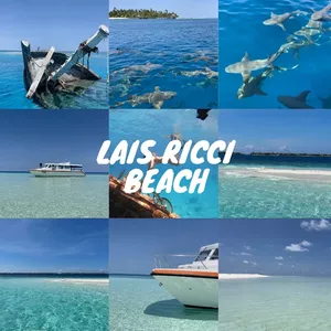 Imagem de capa para o Curso online LAIS RICCI BEACH
