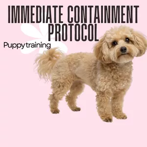 Cover image for Online course Immediate Containment Protocol